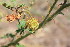  ( - PR932)  @11 [ ] No Rights Reserved  Unspecified Unspecified