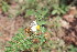  ( - PR932)  @11 [ ] No Rights Reserved  Unspecified Unspecified