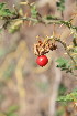  ( - PR932)  @11 [ ] No Rights Reserved  Unspecified Unspecified
