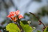  ( - RMK0015)  @11 [ ] No Rights Reserved  Unspecified Unspecified