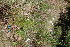  ( - RMK0018)  @11 [ ] No Rights Reserved  Unspecified Unspecified