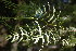  ( - RMK0025)  @11 [ ] No Rights Reserved  Unspecified Unspecified
