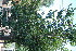  ( - RMK0027)  @11 [ ] No Rights Reserved  Unspecified Unspecified