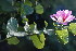  ( - RMK0027)  @11 [ ] No Rights Reserved  Unspecified Unspecified