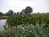  ( - MvdB0030)  @11 [ ] No Rights Reserved  Unspecified Unspecified