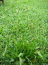  ( - MvdB0031)  @11 [ ] No Rights Reserved  Unspecified Unspecified