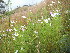  ( - MvdB0036)  @11 [ ] No Rights Reserved  Unspecified Unspecified