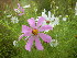  ( - MvdB0036)  @11 [ ] No Rights Reserved  Unspecified Unspecified