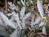  ( - MvdB0057)  @11 [ ] No Rights Reserved  Unspecified Unspecified