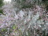  ( - MvdB0057)  @11 [ ] No Rights Reserved  Unspecified Unspecified