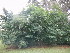  ( - MvdB0058)  @11 [ ] No Rights Reserved  Unspecified Unspecified