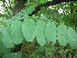  ( - MvdB0058)  @11 [ ] No Rights Reserved  Unspecified Unspecified