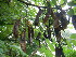  ( - MvdB0058)  @11 [ ] No Rights Reserved  Unspecified Unspecified
