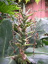 ( - MvdB0060)  @11 [ ] No Rights Reserved  Unspecified Unspecified