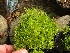  ( - Hosam00389)  @11 [ ] Copyright (2013) Dr. Hosam Elansary Alexandria University