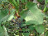  ( - Hosam00183)  @11 [ ] Copyright (2011) Dr. Hosam Elansary Alexandria University