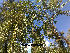  ( - Hosam00130)  @11 [ ] Copyright (2011) Dr. Hosam Elansary Alexandria University
