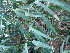  ( - Hosam00425)  @11 [ ] Copyright (2013) Dr. Hosam Elansary Alexandria University