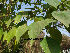  ( - Hosam00159)  @11 [ ] Copyright (2011) Dr. Hosam Elansary Alexandria University