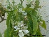  ( - Hosam00304)  @11 [ ] Copyright (2013) Dr. Hosam Elansary Alexandria University
