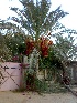  ( - Hosam00097)  @11 [ ] Copyright (2010) Dr. Hosam Elansary Alexandria University