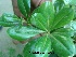  ( - Hosam00359)  @11 [ ] Copyright (2013) Dr. Hosam Elansary Alexandria University