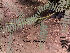  ( - Hosam00131)  @11 [ ] Copyright (2011) Dr. Hosam Elansary Alexandria University
