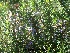  ( - Hosam00207)  @11 [ ] Copyright (2013) Dr. Hosam Elansary Alexandria University