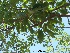  ( - Hosam00004)  @11 [ ] Copyright (2010) Dr. Hosam Elansary Alexandria University
