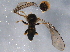  ( - BIOUG07199-B05)  @12 [ ] CreativeCommons - Attribution (2014) CBG Photography Group Centre for Biodiversity Genomics