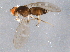  ( - BIOUG07224-C03)  @12 [ ] CreativeCommons - Attribution (2014) CBG Photography Group Centre for Biodiversity Genomics