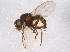  ( - BIOUG07349-E02)  @12 [ ] CreativeCommons - Attribution (2014) CBG Photography Group Centre for Biodiversity Genomics