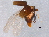  ( - BIOUG07362-F08)  @13 [ ] CreativeCommons - Attribution (2014) CBG Photography Group Centre for Biodiversity Genomics