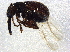  ( - BIOUG07428-C10)  @13 [ ] CreativeCommons - Attribution (2014) CBG Photography Group Centre for Biodiversity Genomics