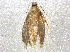  ( - BIOUG07428-D12)  @13 [ ] CreativeCommons - Attribution (2014) CBG Photography Group Centre for Biodiversity Genomics