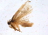  ( - BIOUG07462-D06)  @12 [ ] CreativeCommons - Attribution (2014) CBG Photography Group Centre for Biodiversity Genomics