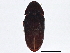  ( - BIOUG07643-H10)  @13 [ ] CreativeCommons - Attribution (2013) CBG Photography Group Centre for Biodiversity Genomics