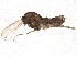  ( - BIOUG07706-C09)  @12 [ ] CreativeCommons - Attribution (2014) CBG Photography Group Centre for Biodiversity Genomics