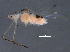  ( - BIOUG08435-G11)  @12 [ ] CreativeCommons - Attribution (2014) CBG Photography Group Centre for Biodiversity Genomics