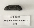  (Athyonidium - HRR06)  @11 [ ] Copyright (2018) Hu Ranran Chinese Academy of Inspection and Quarantine