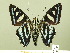  ( - HESP-EB 01 027)  @14 [ ] Copyright (2010) Ernst Brockmann Research Collection of Ernst Brockmann