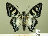  ( - HESP-EB 01 027)  @14 [ ] Copyright (2010) Ernst Brockmann Research Collection of Ernst Brockmann