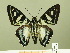  ( - HESP-EB 01 028)  @14 [ ] Copyright (2010) Ernst Brockmann Research Collection of Ernst Brockmann