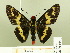  ( - HESP-EB 00 104)  @13 [ ] Copyright (2010) Unspecified Research Collection of Ernst Brockmann