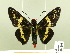  ( - HESP-EB 00 105)  @13 [ ] Copyright (2010) Unspecified Research Collection of Ernst Brockmann