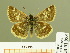  ( - HESP-EB 01 053)  @12 [ ] Copyright (2010) Ernst Brockmann Research Collection of Ernst Brockmann