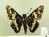  ( - HESP-EB 00 106)  @13 [ ] Copyright (2010) Unspecified Research Collection of Ernst Brockmann