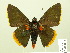  ( - HESP-EB 01 078)  @13 [ ] Copyright (2010) Ernst Brockmann Research Collection of Ernst Brockmann