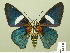  ( - HESP-EB 01 096)  @14 [ ] Copyright (2010) Ernst Brockmann Research Collection of Ernst Brockmann