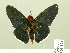 ( - HESP-EB 01 124)  @13 [ ] Copyright (2010) Ernst Brockmann Research Collection of Ernst Brockmann